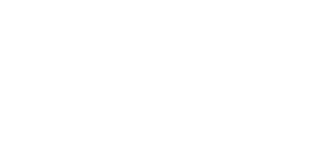 FLIR20-20logo