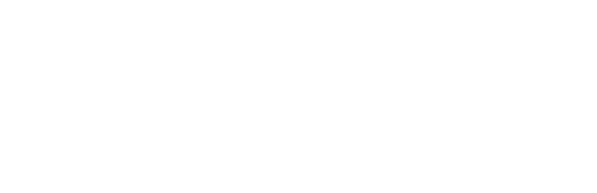 Zebra Logo White